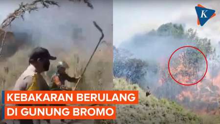 Kawasan Bromo Lagi-lagi Kebakaran, Api Menjalar ke Probolinggo