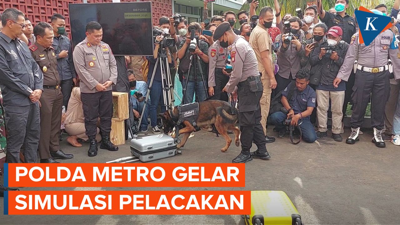Polda Metro Jaya Gelar Simulasi Pelacakan dengan Anjing Pelacak Unit Satwa K9