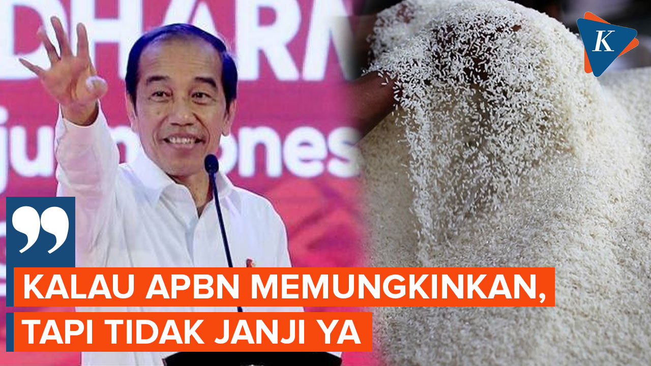 Jokowi Berniat Lanjutkan Bansos Beras Hingga Desember, Tapi...