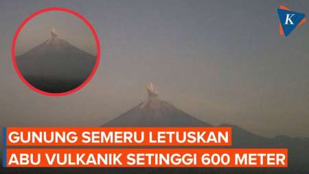 Erupsi Gunung Semeru, Letuskan Abu Vulkanik Setinggi 600 meter