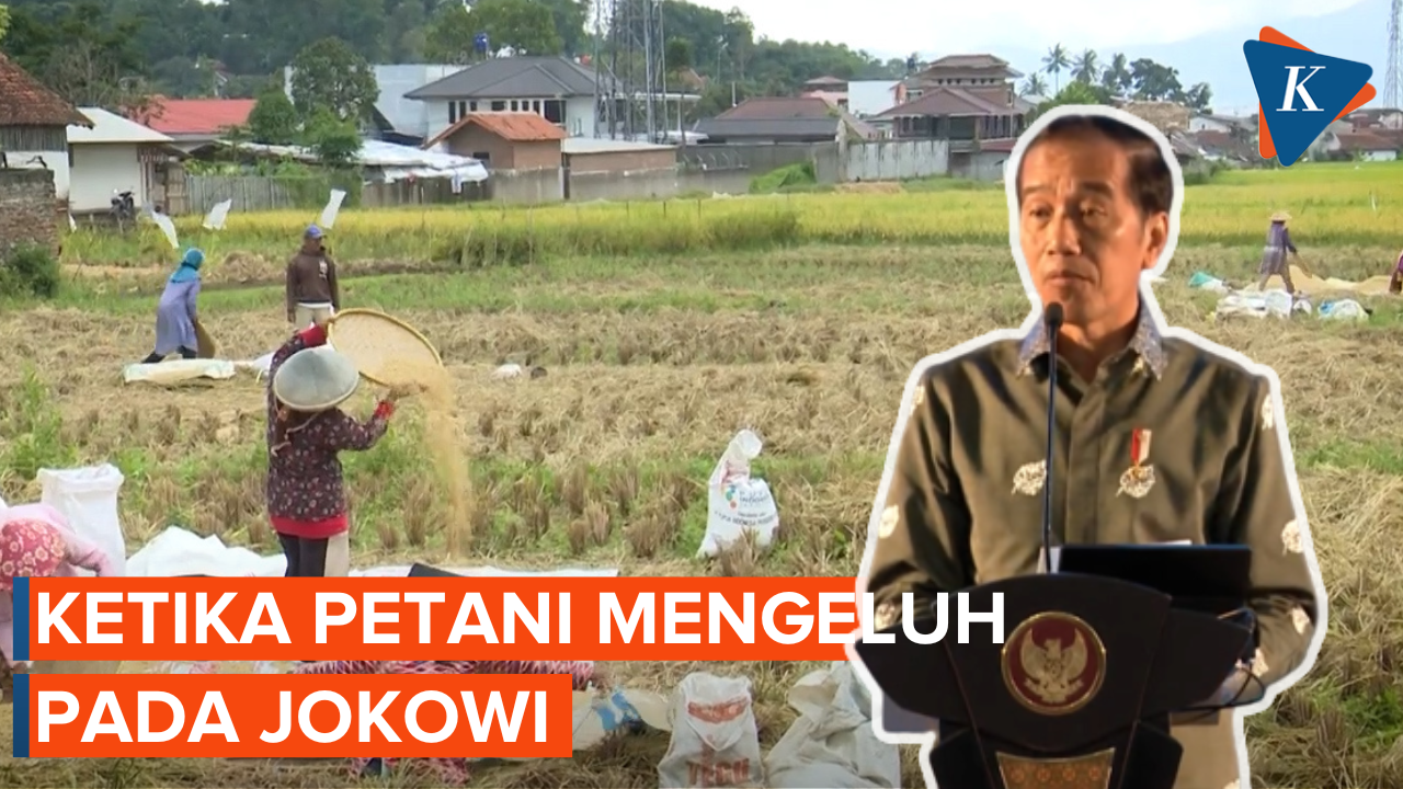 Respons Jokowi Saat Dengar Keluhan Petani soal Harga Gabah yang Terlalu Rendah