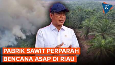 Pabrik Sawit Disebut Perparah Asap Riau, Menteri Lingkungan Beri Peringatan Keras