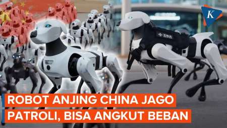 Robot Anjing China dengan 13 Sendi Canggih Bisa Jelajah Medan Sulit dan Gelap