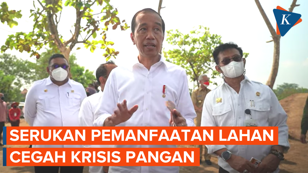 Jokowi Minta Masyarakat Tanam Cabai