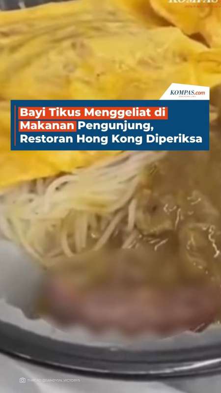 Bayi Tikus Ditemukan Menggeliat di Makanan Pengunjung, Restoran Hong Kong Diperiksa
