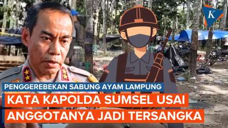 Reaksi Kapolda Sumsel Usai Anggotanya Jadi Tersangka Sabung Ayam Lampung