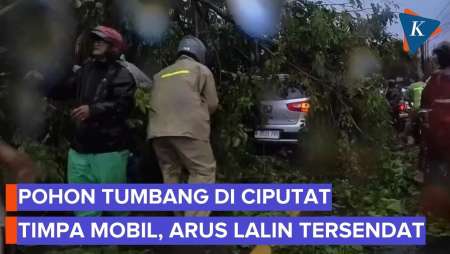 Pohon Tumbang Di Flyover Gaplek Tangsel Timpa Mobil, Arus Lalu Lintas Tersendat