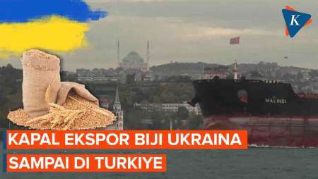 Akhirnya Kapal Ekspor Biji-bijian Ukraina Kedua Tiba di Turkiye