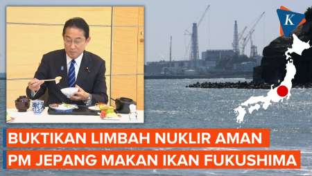 PM Jepang Santap Ikan Fukushima demi Buktikan Limbah Nuklir Aman