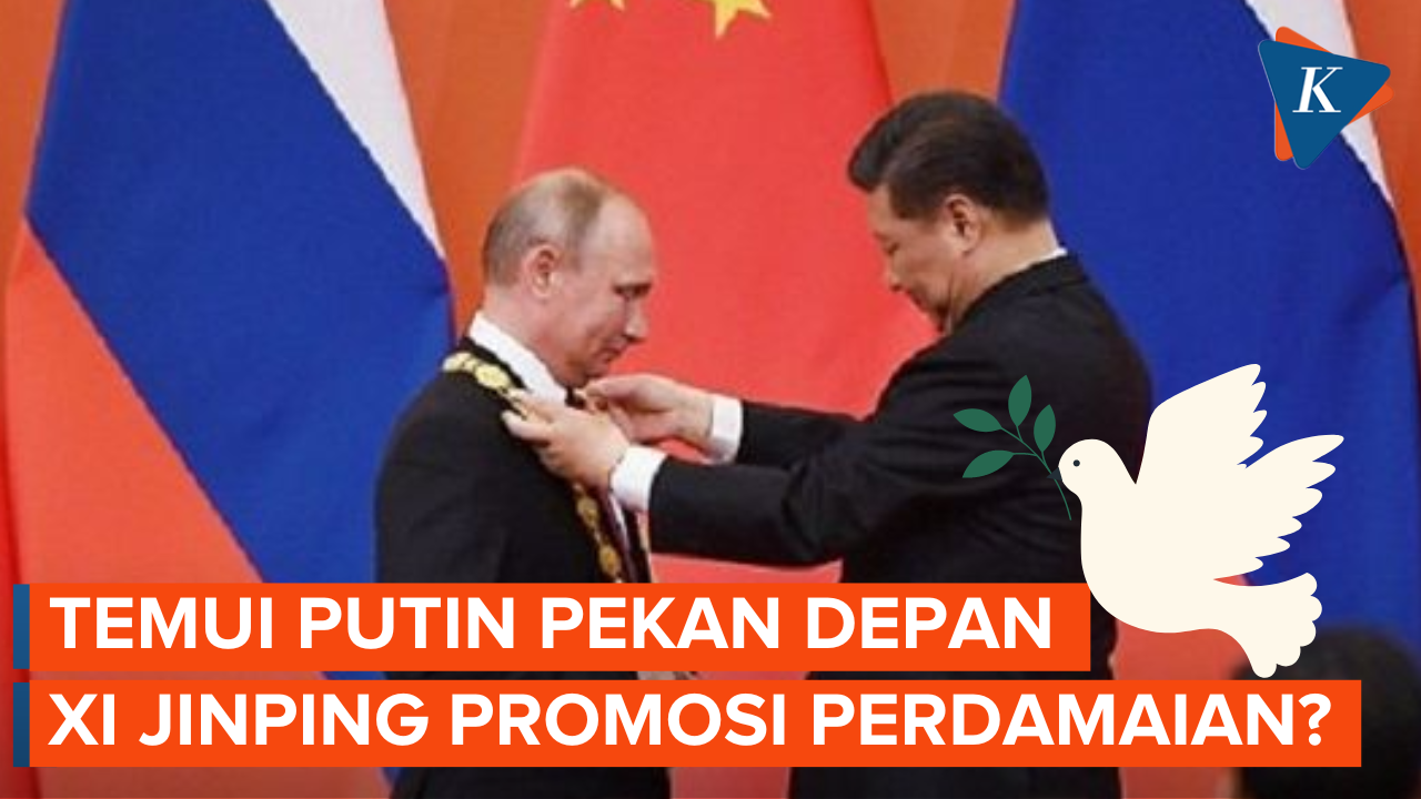 Xi Jinping Bakal Temui Putin, China Jamin Bakal Tetap Netral 