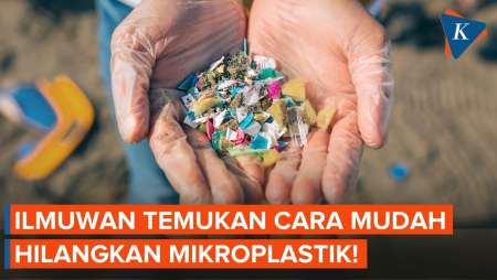 Ilmuwan Ungkap Cara Mudah Kurangi Mikroplastik Dalam Air