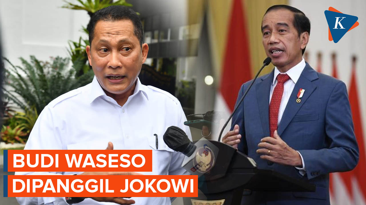 Budi Waseso Dipanggil Jokowi ke Istana, Ada Apa?