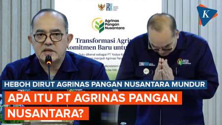 Heboh Dirutnya Mundur, Apa Itu PT Agrinas Pangan Nusantara?