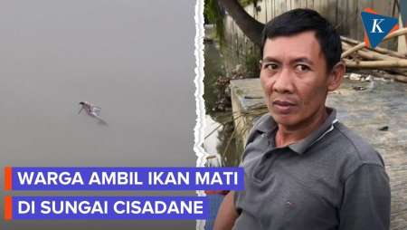 Warga Disebut Berburu Ikan Mati Di Sungai Cisadane Yang Tercemar Pestisida