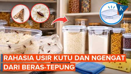 Cara Mengatasi Beras Dan Tepung Yang Digerogoti Kutu