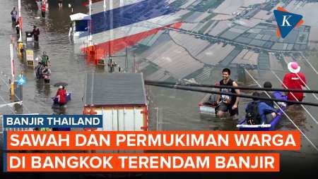 Penampakan Udara Banjir Bangkok Thailand, Sawah Dan Rumah Terendam Air