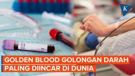 Golden Blood, Golongan Darah Paling Diincar Di Dunia