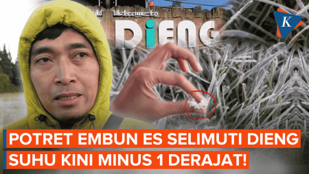Penampakan Embun Es Selimuti Dieng, Suhu Minus 1 Derajat!