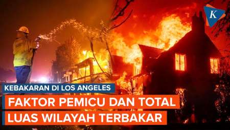 Kebakaran Hebat di Los Angeles, Faktor Penyebab, dan Total Luas Wilayahnya