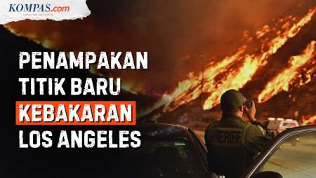 Los Angeles Masih Membara, Api Bakar Hutan dan Bukit di Beberapa Titik