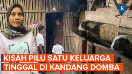 Satu Keluarga di Bandung Barat Tinggal di Kandang Domba, Tidur dengan Bau Kotoran Hewan