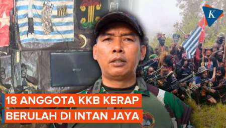 Dihabisi TNI, 18 Anggota KKB Diduga Kerap Berulah di Intan Jaya