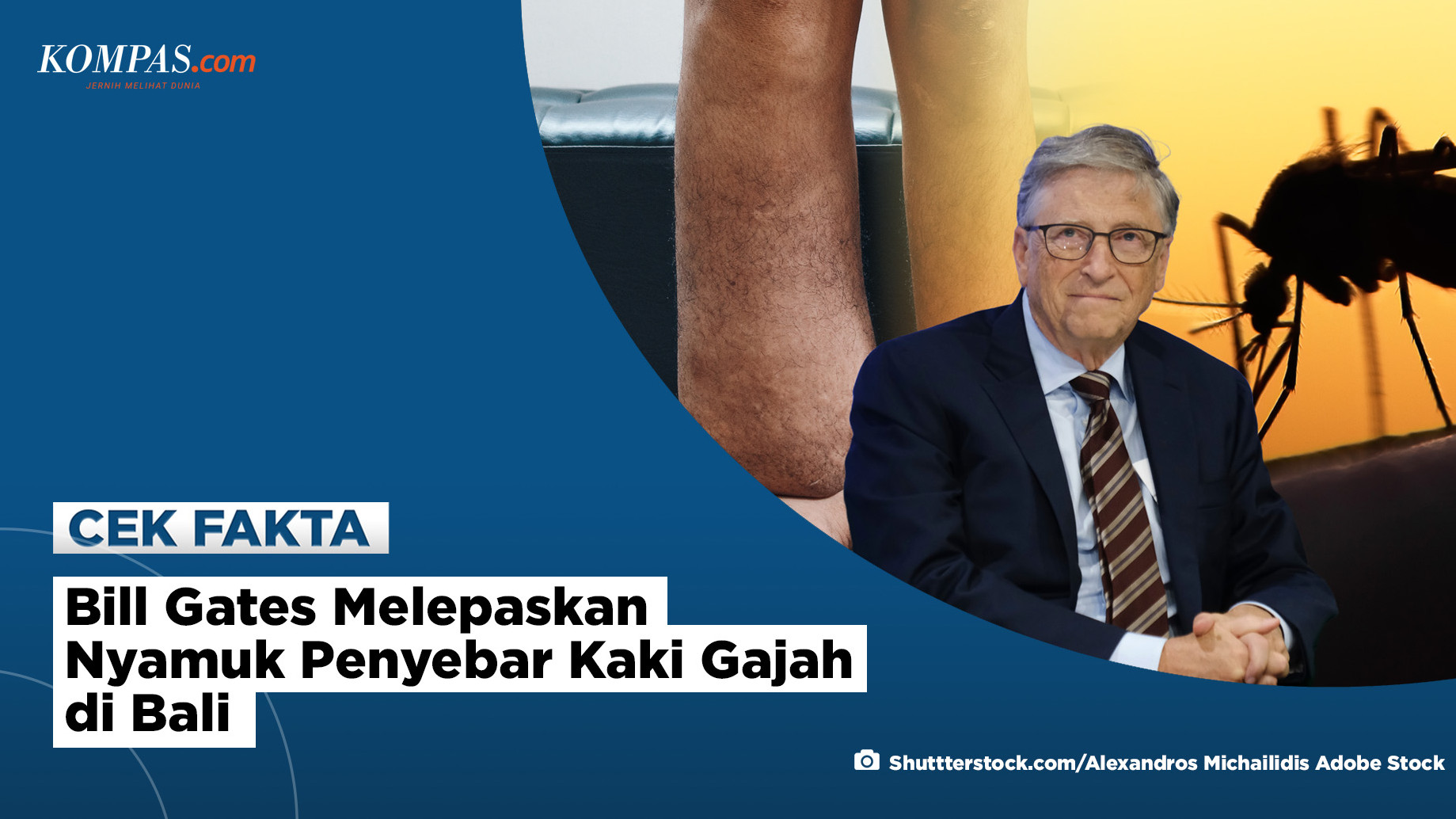 [HOAKS] Bill Gates Melepaskan Nyamuk Penyebar Kaki Gajah di Bali
