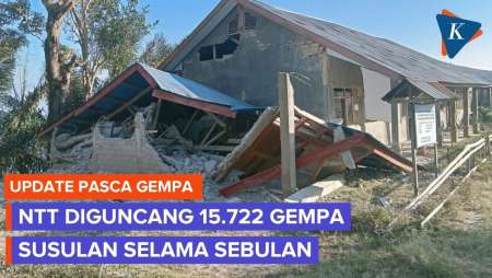 BMKG Catat 15.722 Gempa Susulan Selama Sebulan Usai Gempa M 7,7 NTT