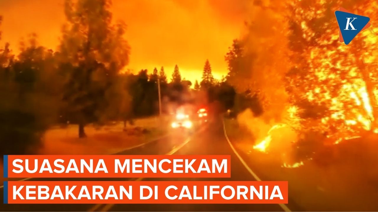 Kebakaran Hutan di California, Kobaran Api Melalap Hutan Terlihat di Sepanjang Jalan Raya