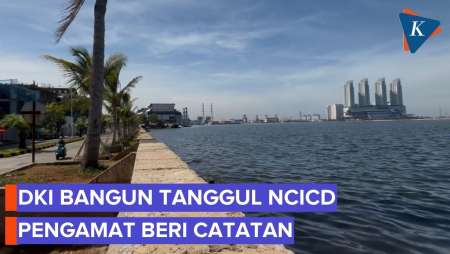 Tanggul Tidak Cukup, Pantai Mutiara Butuh Perlindungan Alami