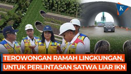 Penampakan Terowongan Satwa Tol IKN yang Bisa Dilintasi Beruang Madu