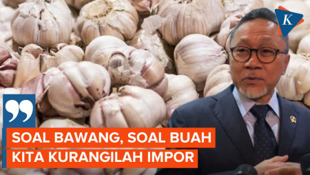 Mendag Zulkifli Hasan Tanggapi Usul Bapanas soal Impor Bawang Putih