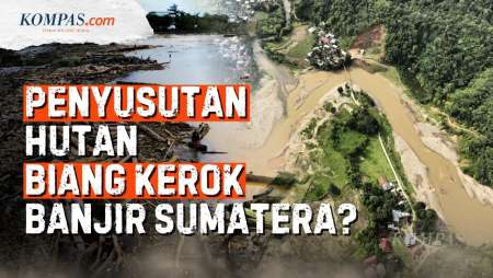 Benarkah Penyusutan Hutan Memperparah Banjir-Longsor Di Sumatera?