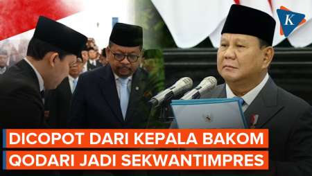 Qodari Jadi Sekretaris Wantimpres Usai Dicopot Dari Kepala Bakom RI