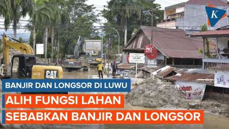 Penyebab Banjir dan Longsor di Luwu Dipicu Pembukaan Lahan Tambang Emas dan Pasir