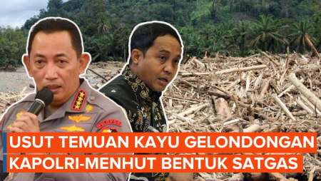 Usut Temuan Kayu Gelondongan, Kapolri-Menhut Bentuk Satgas Gabungan