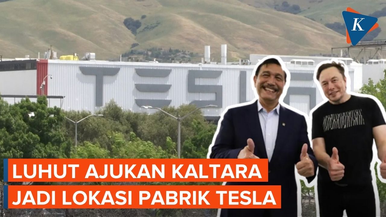 Luhut Tawarkan Kalimantan Utara sebagai Lokasi Pabrik Tesla pada Elon Musk