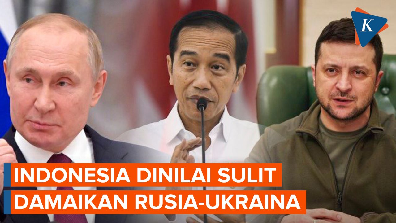 Pengamat Nilai Indonesia Sulit Damaikan Rusia-Ukraina, Mengapa?