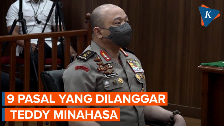 Total, Ada 9 Pasal yang Dilanggar Teddy Minahasa