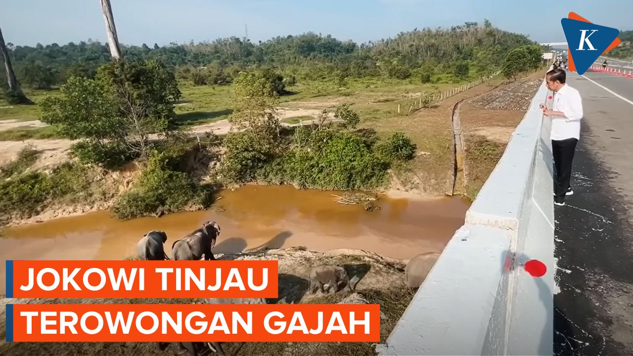 Jokowi Tinjau Terowongan Gajah di Jalan Tol Pekanbaru