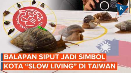 Uniknya Lomba Balapan Siput Di Kota “Slow Living” Taiwan