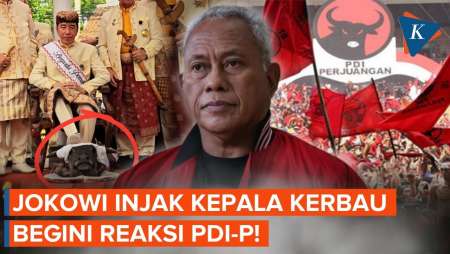 Jokowi Injak Kepala Kerbau, PDI-P: Kalau Kepala Banteng Baru Berurusan