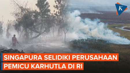 Singapura Bergerak Usut Perusahaan Penyebab Karhutla Di Indonesia