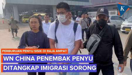 Detik-detik WN China Penembak Penyu Sisik Di Raja Ampat Ditangkap Imigrasi Saat Mau Kabur