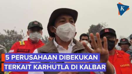 Menhut Bekukan Izin 5 Perusahaan Terkait Karhutla