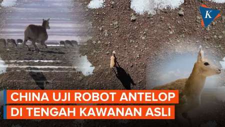 China Kerahkan Robot Hewan untuk Pantau Satwa di Cuaca Dingin