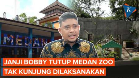 Bobby 3 Kali Janji Tutup Medan Zoo untuk Perbaikan, Tak Kunjung Terlaksana