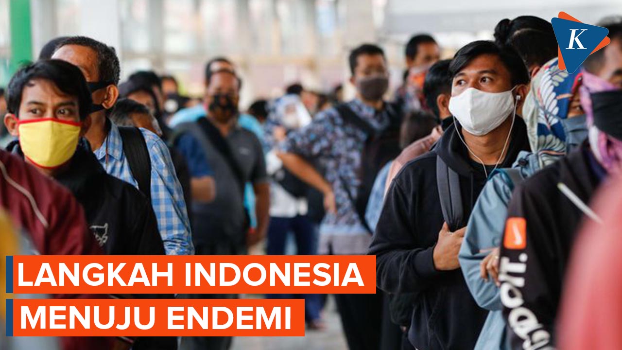 Langkah Indonesia Menuju Endemi