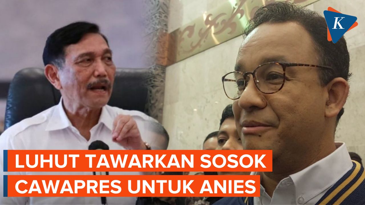 Luhut Tawarkan Sosok Cawapres untuk Anies Saat Bertemu Surya Paloh