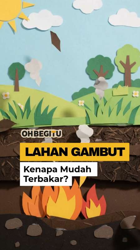 Rahasia Tersembunyi! Kenapa Lahan Gambut Gampang Terbakar?